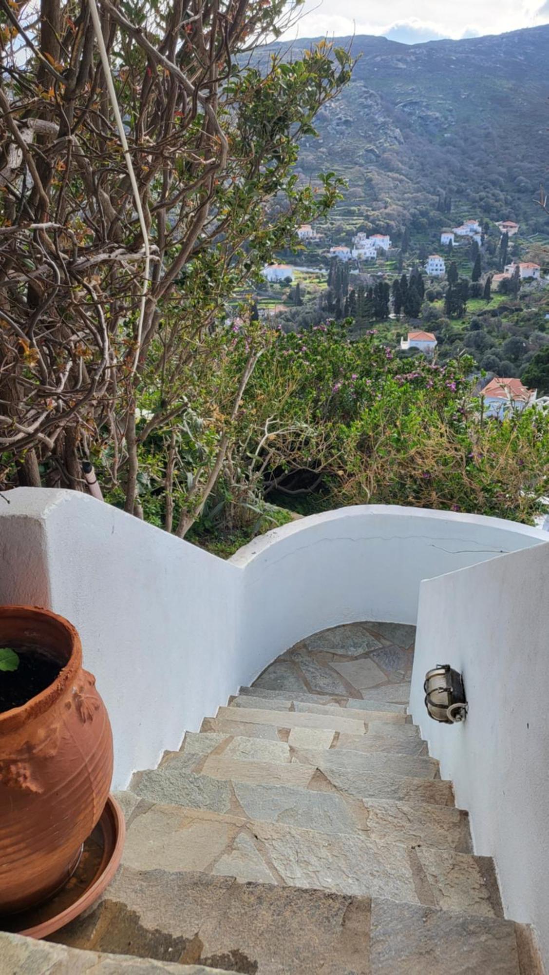 Eirini Home Andros Town Bagian luar foto