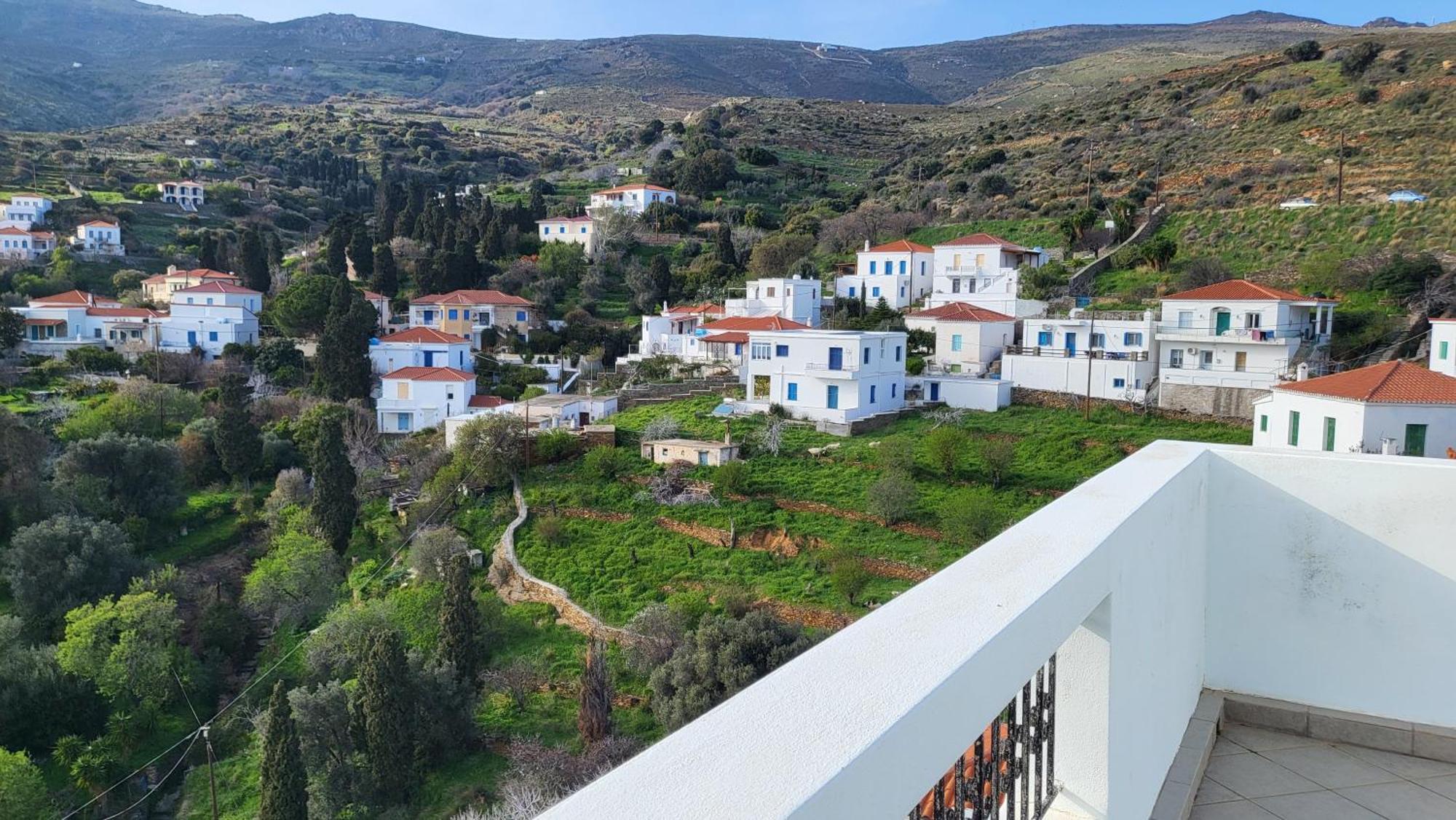 Eirini Home Andros Town Bagian luar foto